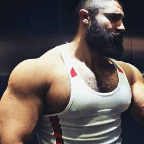 hot muscle guys collection