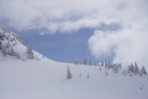 sentinel-wraith:Road to Pebble Creek and Camp Muir, Mt Rainier, Wa5/6/17