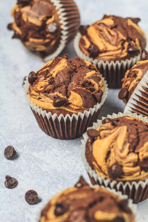 fullcravings:Chocolate Peanut Butter Banana MuffinsRecipe source: Marsha’s Baking AddictionCongratul