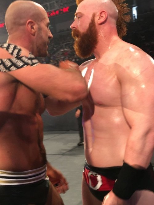 deidrelovessheamus:  Awesome pics from last night of Sheamus and Cesaro. The last 3 are from @GuyinGreenWWE on twitter.
