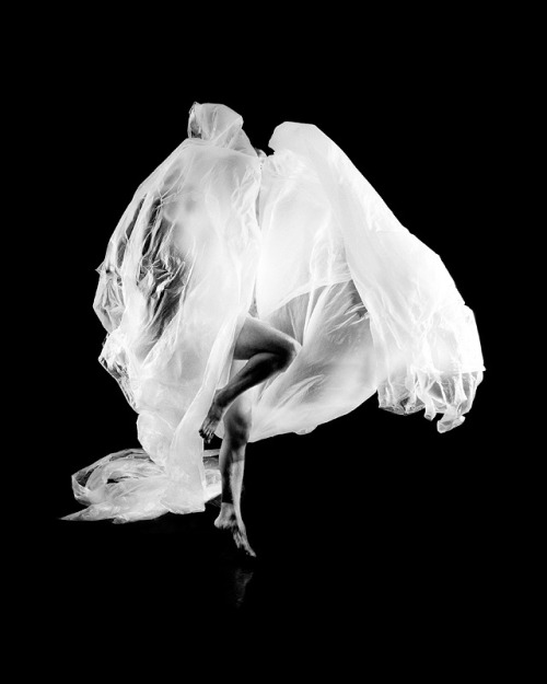 gacougnol: Gabor Kasza “Elements 19”