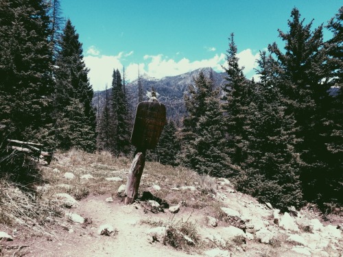 adventureovereverything: Hiking in Weminuche Wilderness, CO