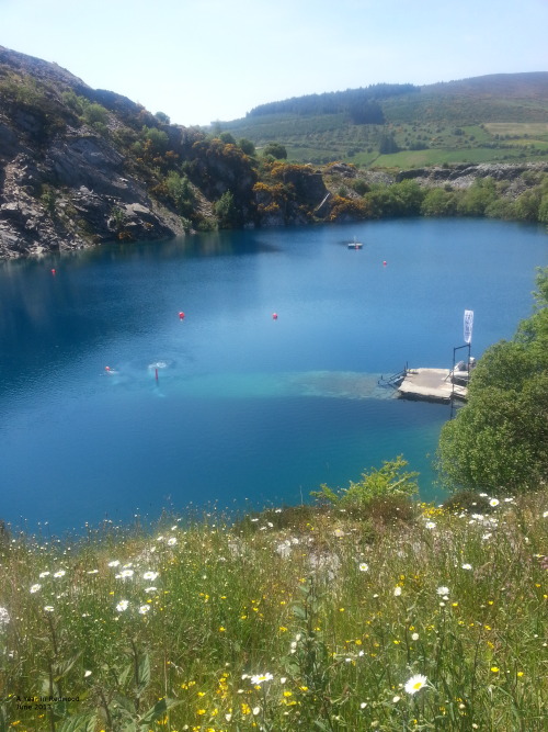 sixpenceee:  This is Portroe Quarry in Tipperary, Ireland. It’s now flooded but it’s a popular location for scuba divers with depths to the region of 40 meters available