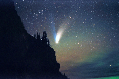 Comets By David Cartier