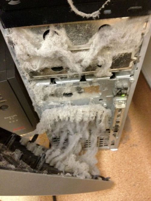 fang107:  kikuzu:  (via たけぽんFX（アドセンスクリック4649さんのツイート: “ITクラスタを泣かせる18の写真がいろいろひどい https://t.co/hnp6zKDMwU https://t.co/UCInuOwSBj”)    WHY