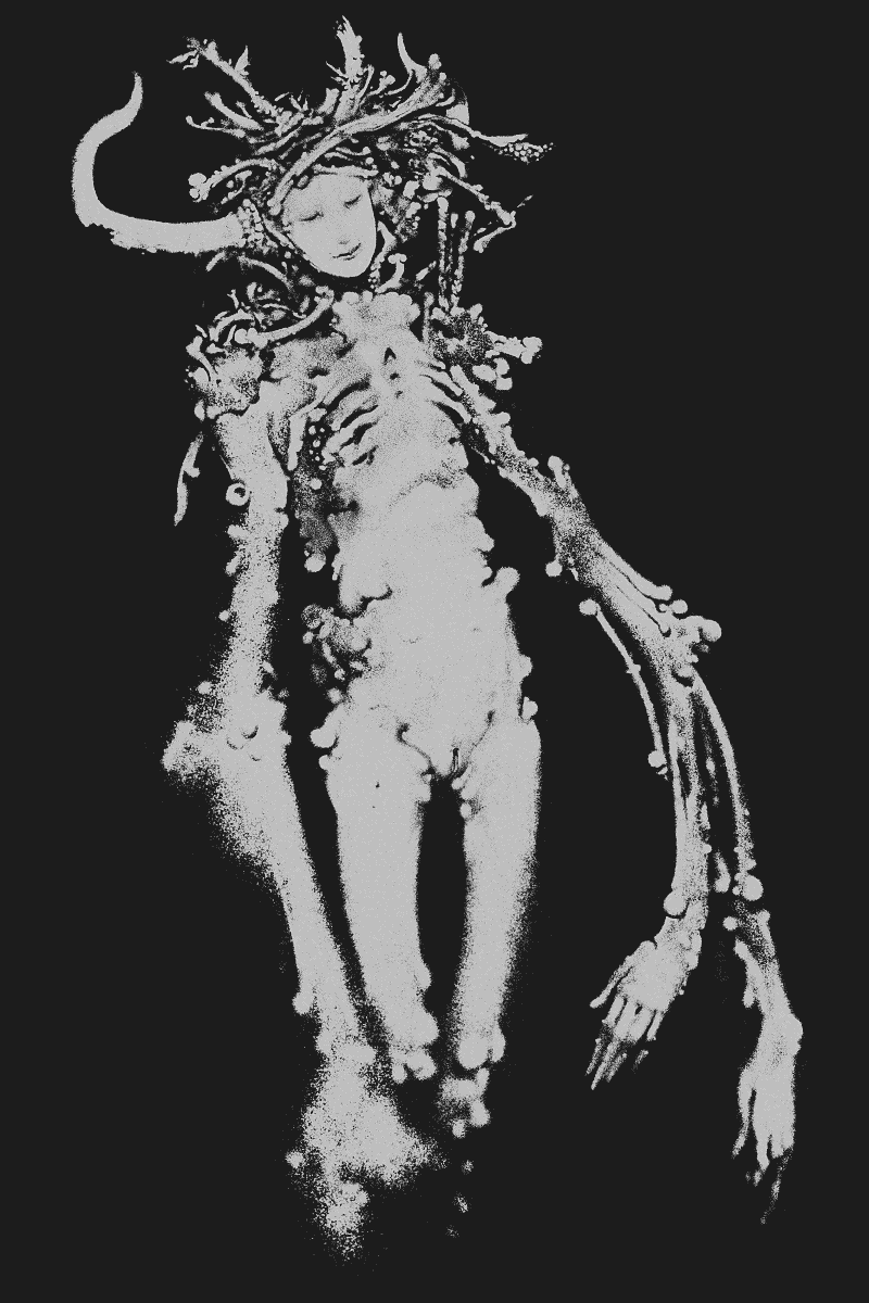 FYSAD