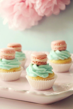 gastrogirl:  cupcakes with mini french macaron