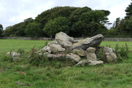 Hendrefor Burial Chambers, nr. Pentraeth, Anglesey, North Wales, 14.8.18.This is the second time I h