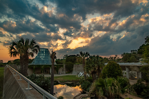 San Antonio Botanical Gardens - San Antonio - Texas - USA (by Corey Leopold)  