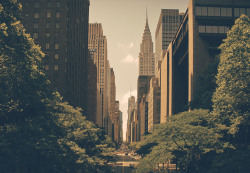 cjwho:  New York by Leigh Whipday  Photographs