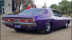 musclecars4ever