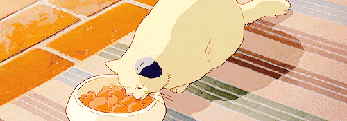 tumblr photo fools-without-a-soul 0