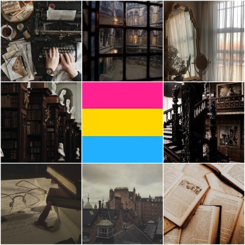 Pansexual Dark Academia Moodboard for anon <3
