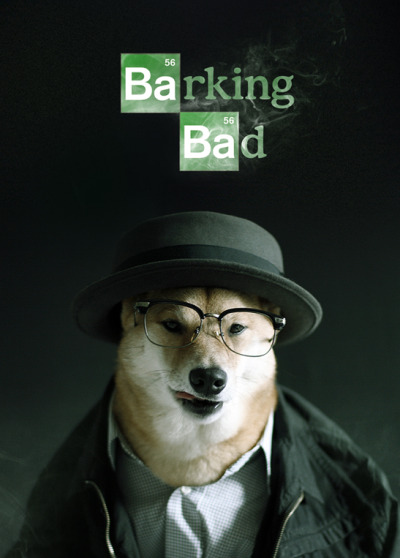 mensweardog:
“ Barking Bad
MWD channels his inner Heisenberg in anxious anticipation for the final season of Breaking Bad, premiering August 11th.
”
Heisenbark. lol