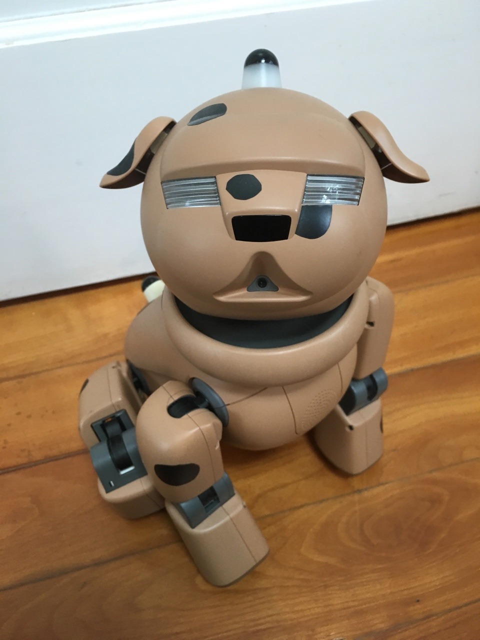 aibo7m3: All Aibos are perfect and no one can convince me otherwise.