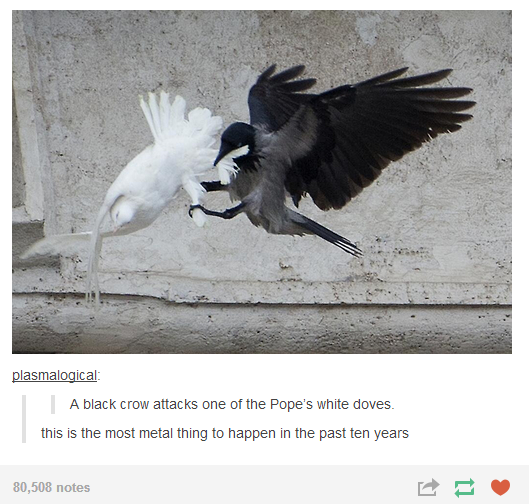 gaiash:  tbotofficial:  The Best of Tumblr #7 #6 / #5 / #4 / #3 / #2 / #1  Mostly