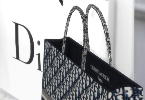 platinumluxesims: CHRISTIAN DIOR LUXURY BOOK TOTEOk loves, here is my first *BRAND NEW* bag mesh!Mor