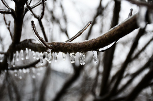 Dangling Glass by Hiroko Nishimura on Flickr.