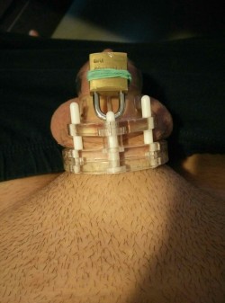 chastityboy1996:  Glad that I have time to make pics again ;) 