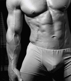 MUSCLE MEN OBSESSION