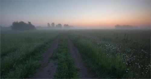 expressions-of-nature: by Nikolai Shahmantsir