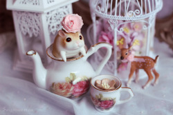 Bjdswithpets:lettie’s Teatime By Sarqq