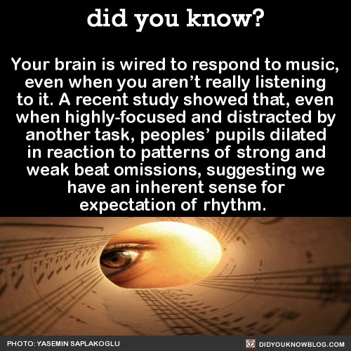 did-you-kno:  Your brain is wired to respond to music, even when you aren’t really listening to it. A recent study showed that, even when highly-focused and distracted by another task, peoples’ pupils dilated in reaction to patterns of strong and