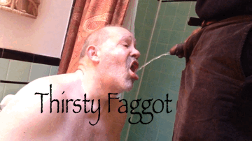 baltowasharea: Balto’s Piss Pigs