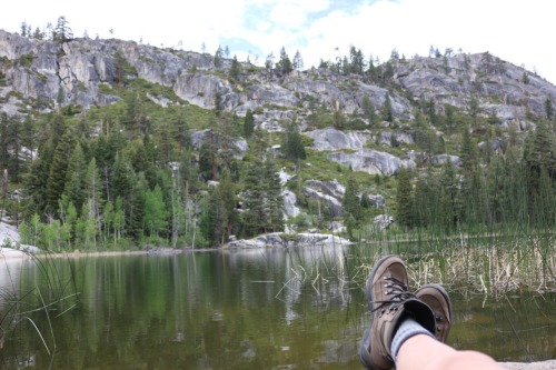 vhord:  nuhstalgicsoul:  My solo adventure today in the Sierra Nevadas  strictly nature
