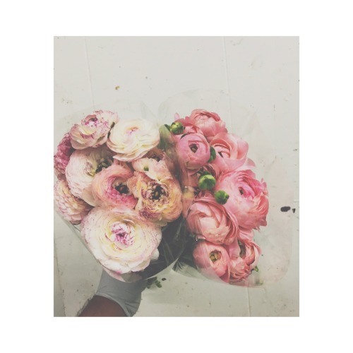 tumblr photo horcruxblues 0