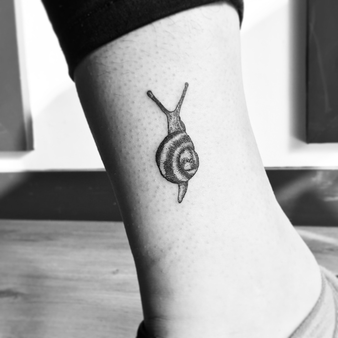 Snail Temporary Tattoo Sticker  OhMyTat