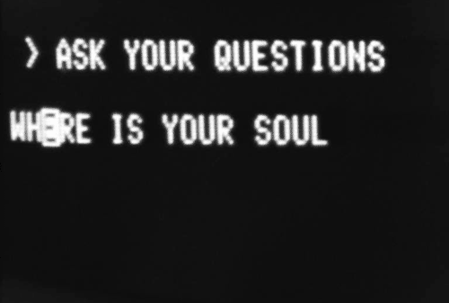 nevver:  Ask your questions 