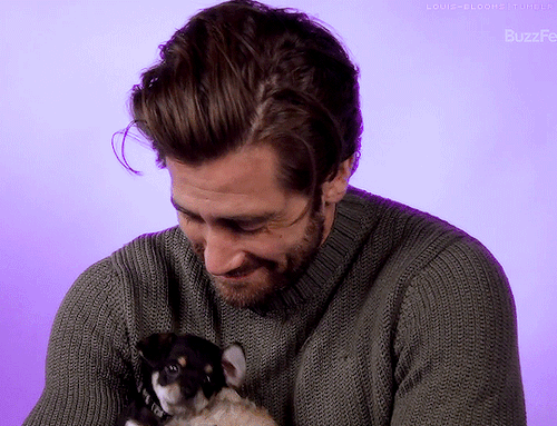 louis-blooms:Jake Gyllenhaal Plays With Puppies While Answering Fan QuestionsThis sweater is destroy