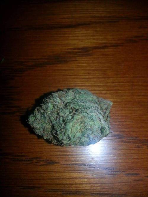 kiwi336:  #weed #weedporn #marijuana #bong adult photos