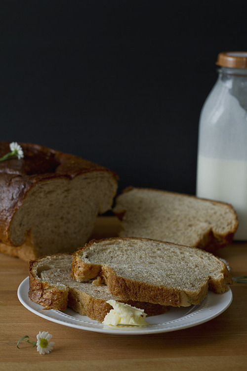 final fantasy xiv lodestone buttered toasty final fantasy xiv lodestone buttered toasty