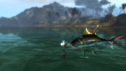 guildwars2:  Sometimes you need to have an in-depth conversation with a fish.[Submitted by figurepsy]