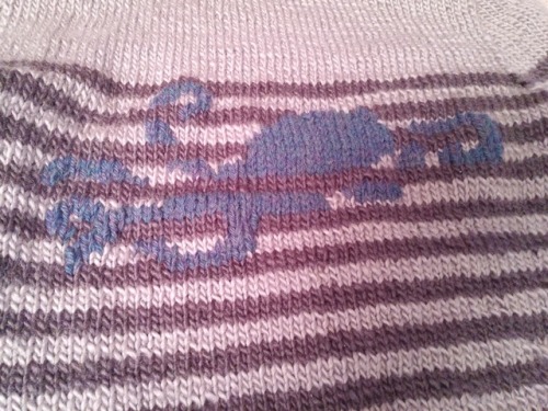 sweatersforbunnies: Pictures of my octopus slowly forming in between the stripes of my sweater. My f