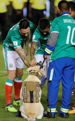 iztac-coatl:  deportivoguadalajara:  Lo mejor del juego de mexico  Mexico sucked tonight. Only last part did they start playing good