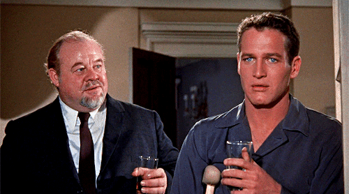 classicfilmblr:Paul Newman as Brick Pollitt in Cat on a Hot Tin Roof (1958), dir. Richard Brooks