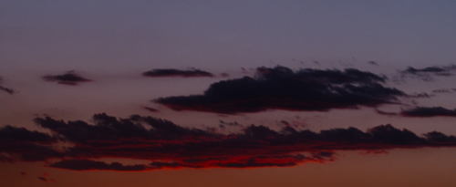 filmaticbby:Nocturnal Animals (2016) dir. Tom Ford