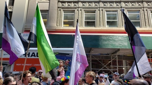 redbeardace:NYC Pride Parades 2019 @arowitharrows you said you hadn&rsquo;t seen Aromantic presence 