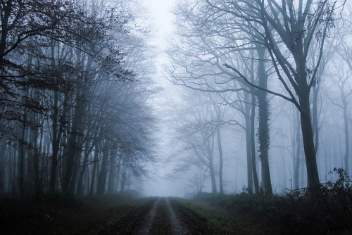 Mormal’s fog by Eric Penet on Flickr.