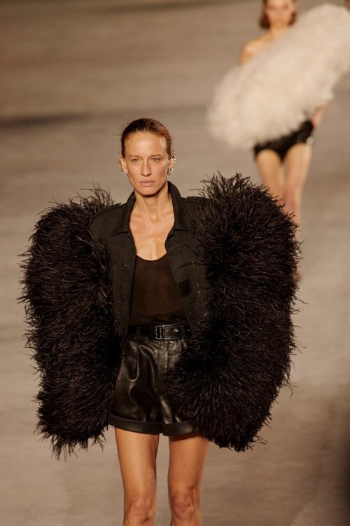 anthony vaccarello