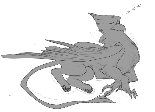 Hey Guys Look At All These Gryphs I Drew