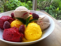 lilomanie:  pure bliss 😍 mango sorbet • raspberry-mint-lemon balm sorbet • banana-raspberry-sage icecream  all homemade from frozen fruit.