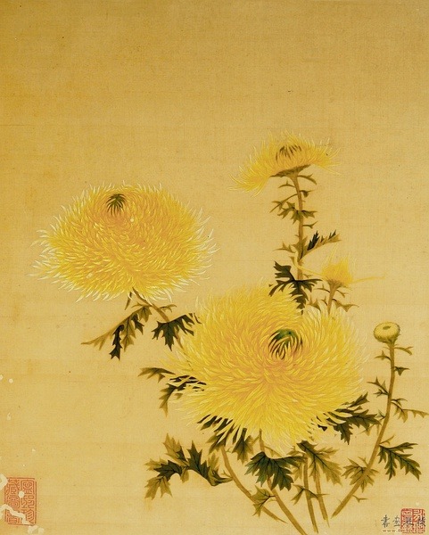 国画 | Guohua | Traditional Chinese paintings, 菊 | Ju | Chrysanthemum. By ancient artist 王延格Wang Yange