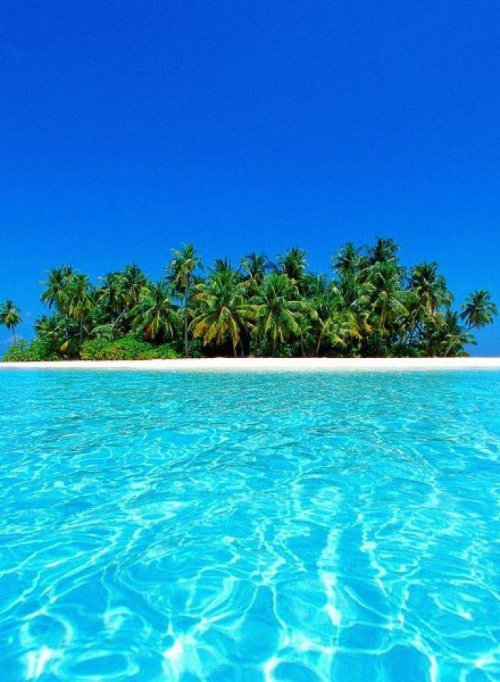 bountybeaches:  Coral Islands, Maldives  Keep reading