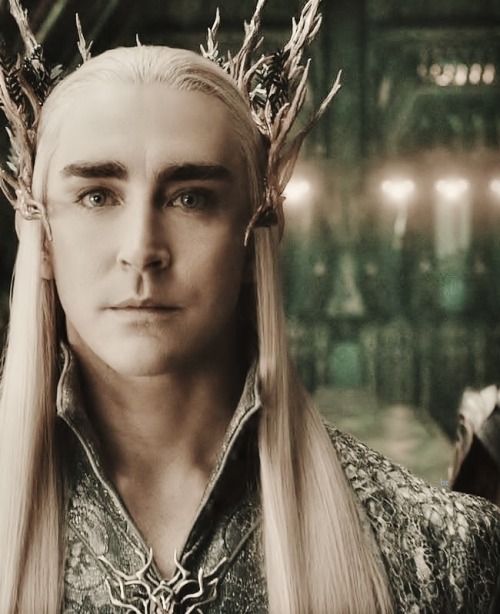 thecrownlesskings:  All would pay homage to him. Even the great Elven king, T h r a n d u i l .