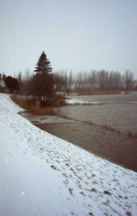 Ameide, Netherlands | February 2021 | Contax TVS on Kodak Ektar 100