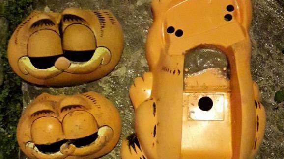 spectrometrie:For 35 years, Garfield phone cases have been washing up on Brittany